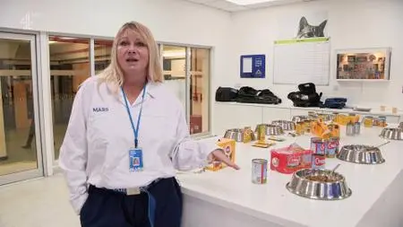 Ch4. - Britain's Giant Pet Food Factory (2019)