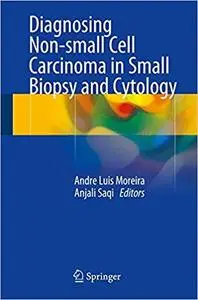 Diagnosing Non-small Cell Carcinoma in Small Biopsy and Cytology (Repost)