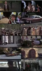 Hair (1979)