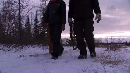 Animal Planet - On The Edge Churchill (2015)