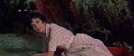 Bye Bye Birdie (1963)