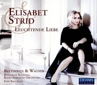 Elisabet Strid - Leuchtende Liebe (2017)