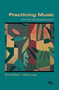 Practicing Music: How the Professionals Do It