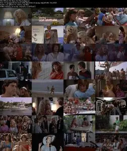 Where the Boys Are '84 (1984) 