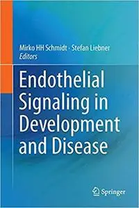 Endothelial Signaling in Development and Disease