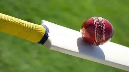 How To Play Cricket