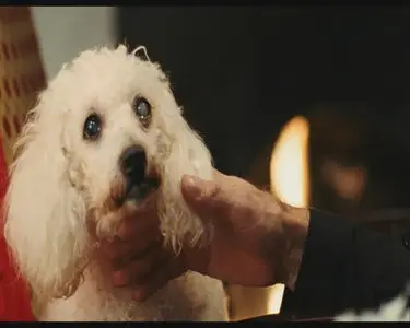 Nuit de chien / Diese Nacht / This Night - by Werner Schroeter (2008)