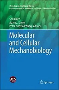 Molecular and Cellular Mechanobiology