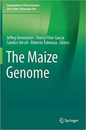 The Maize Genome