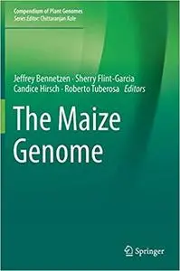 The Maize Genome