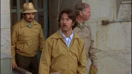Straight Time (1978)