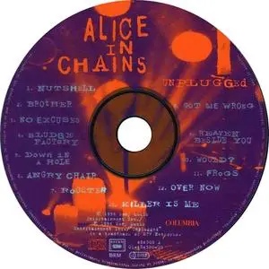 alice in chains mtv unplugged metallica joke