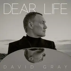 David Gray - Dear Life (2025) [Official Digital Download]