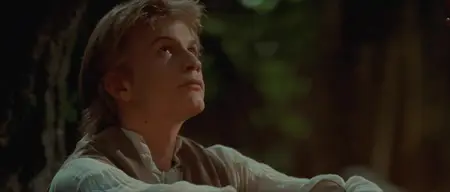 Brotherhood of the Wolf (2001)