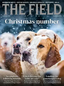 The Field - December 2025