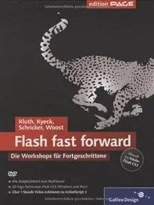 Flash fast forward: Die Workshops fur Fortgeschrittene