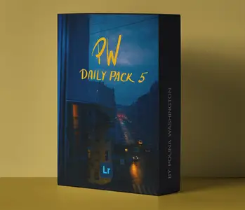 Polina Washington - PW DAILY PACK V Lightroom Presets