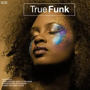 VA - True Funk (2007)