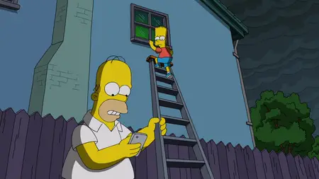 The Simpsons S29E21