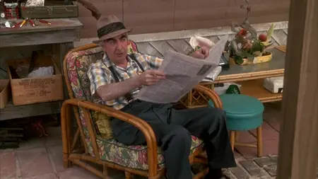 Opportunity Knocks (1990)