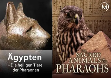 NDR - The Sacred Animals of the Pharaohs (2006)