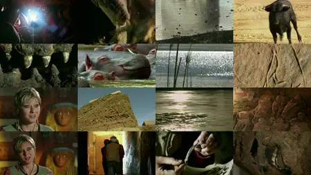 NDR - The Sacred Animals of the Pharaohs (2006)