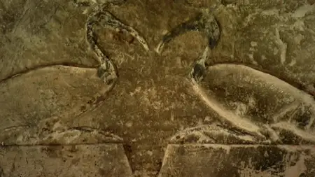NDR - The Sacred Animals of the Pharaohs (2006)