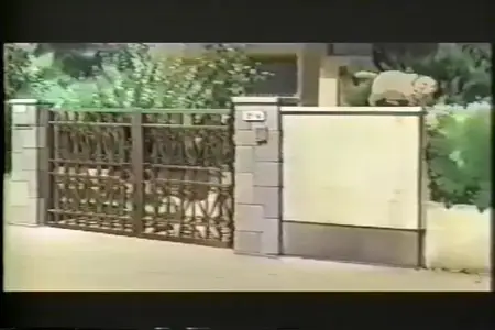Whisper of the Heart (1995