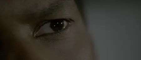 The Bone Collector (1999)