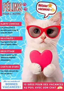 Félins pour l'autre N.31 - 29 Juillet 2025