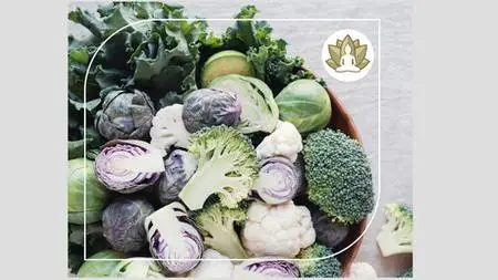 Nutrition For Menopause