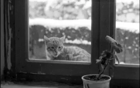 Nuri Bilge Ceylan-Kasaba ('The Town') (1998)