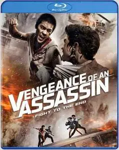 Vengeance of an Assassin (2014)