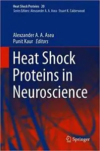 Heat Shock Proteins in Neuroscience