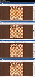 Complete Chess Course for Beginners: Become a Chess Master