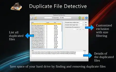 Duplicate File Detective v1.5 Retail