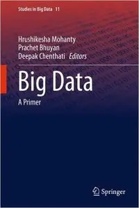 Big Data: A Primer (Repost)