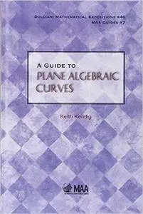 A Guide to Plane Algebraic Curves (Repost)