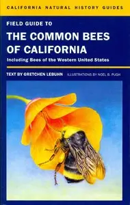 Field Guide to the Common Bees of California: Including Bees of the Western United States