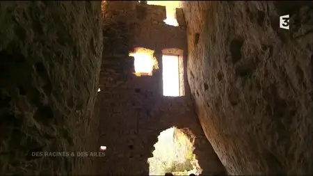 (Fr3) Des racines et des ailes - Passion patrimoine : Au fil du Tarn (2015)