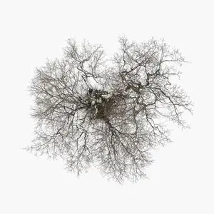 John Metcalfe - Tree (2023) [Official Digital Download 24/96]
