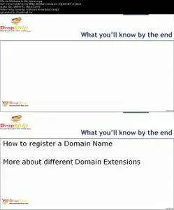 Registering A Domain Name for Business - An e-Hustlers Guide