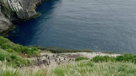 BBC - New Zealand: Earth's Mythical Islands (2016)