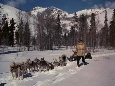 The Wild North (1952)