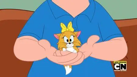 The Tom and Jerry Show S02E03c (2016)