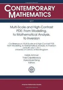 Multi-Scale and High-Contrast PDE