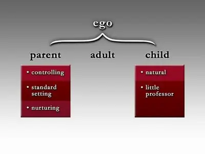 The Great Courses - Effective Communication Skills [repost]