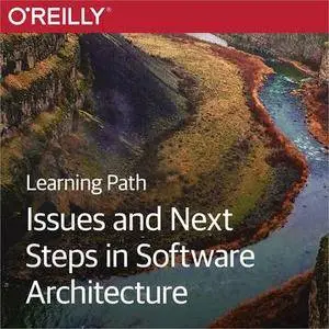 Learning Path: Issues and Next Steps in Software Architecture