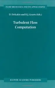 Turbulent Flow Computation