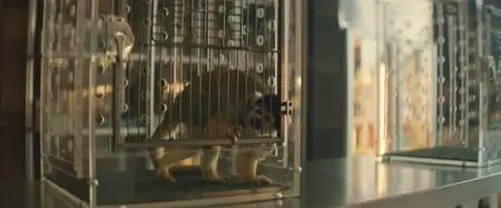 Curfew S01E07